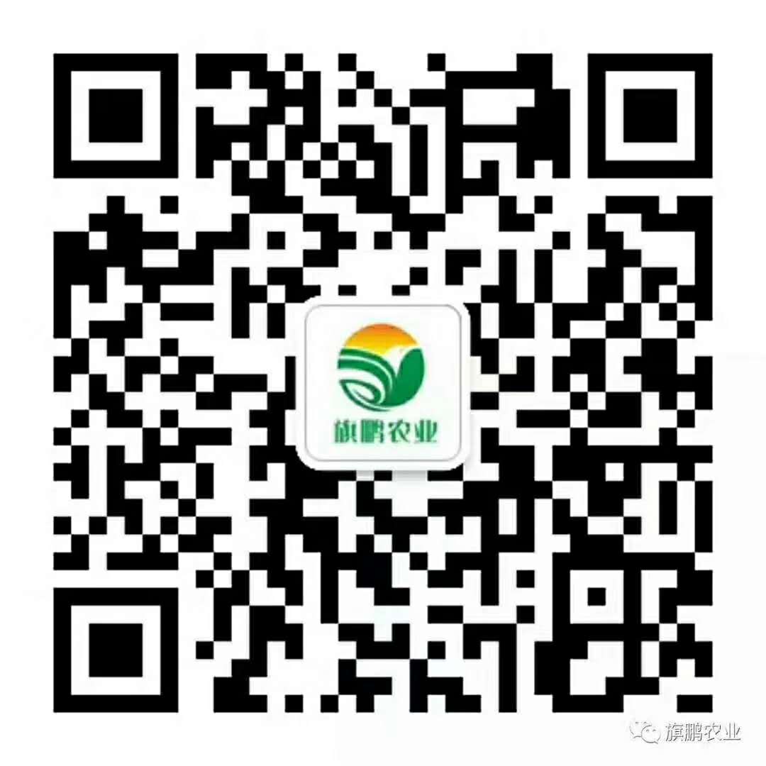 江蘇中泓船業(yè)有限公司